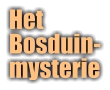 HetBosduin-mysterie
