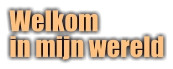 Welkom in mijn wereld
