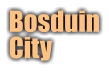 BosduinCity