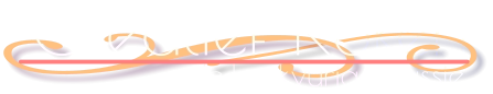 Creatief Koken de              passie kookvurige